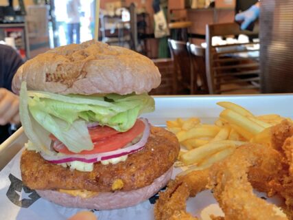 ヴィーガンバーガーを本気で作ったお肉バーガー専門店『BOX BURGER HAKONE』＠箱根